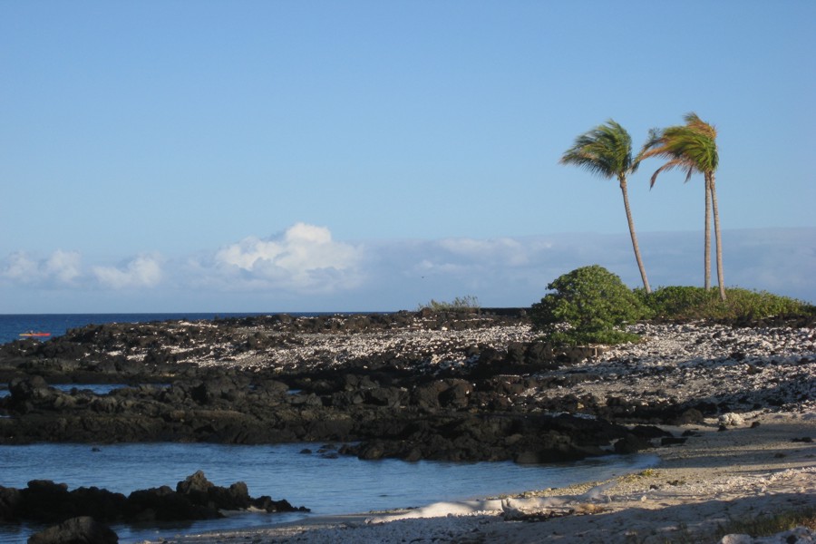 ../image/shoreline near hilton in waikoloa 3.jpg